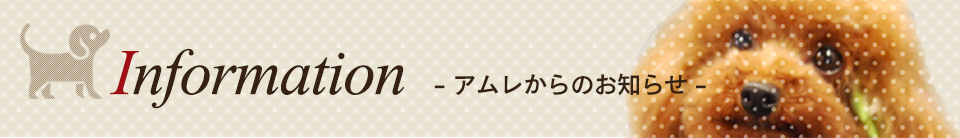 Information - アムレからのお知らせ -